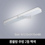 [하남조명] 몽블랑 주방 2등 - 백색 (광학산아크릴,알루미늄) (HN-A4-03(172))