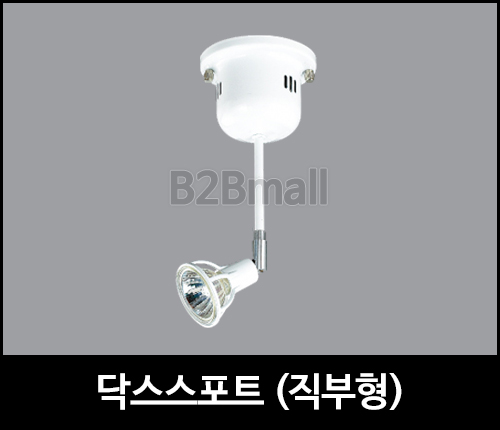 닥스스포트 /직부형