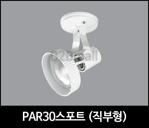 PAR30스포트 /직부형