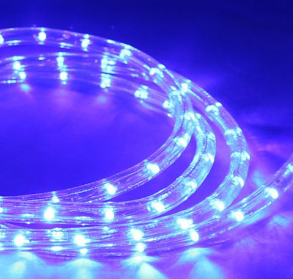 LED 원형논네온 BOX(50M)